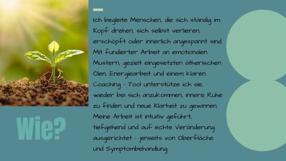 Beschreibung wie begleite ich im Coaching