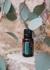 Eucalyptus Öl doTERRA
